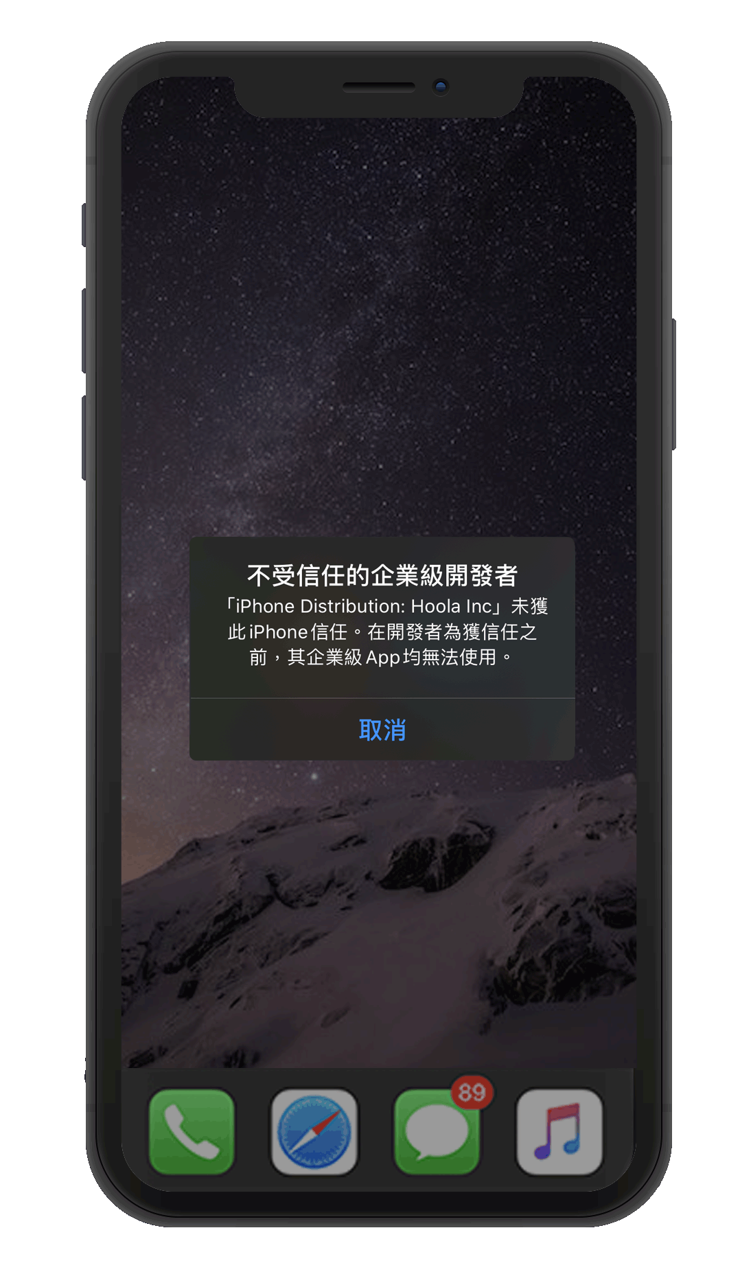 下載應用程式後,您將需要手動選擇信任此程式。