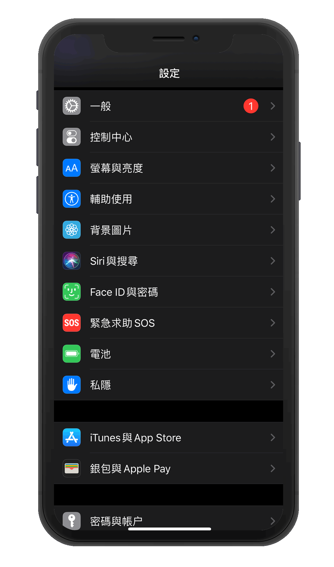 進入“設置”>“一般”